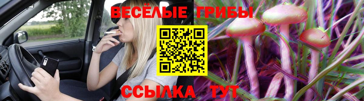 Псилоцибиновые грибы GOLDEN TEACHER Таганрог